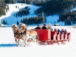 Winter activities nearby include horse drawn sleigh rides